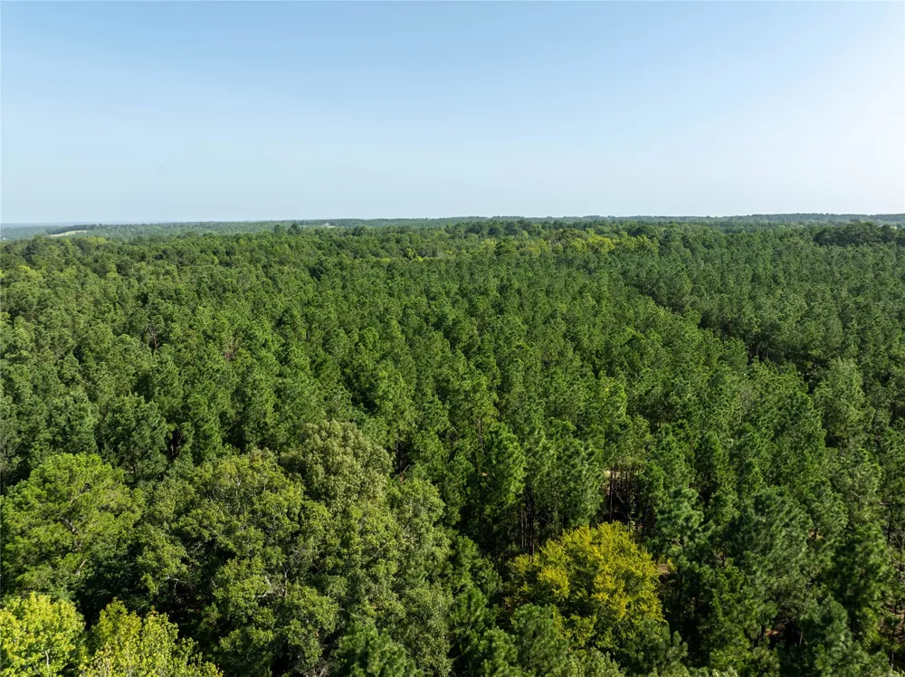 County Road 1713 Jacksonville, TX 75766