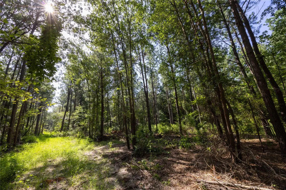 County Road 1713 Jacksonville, TX 75766