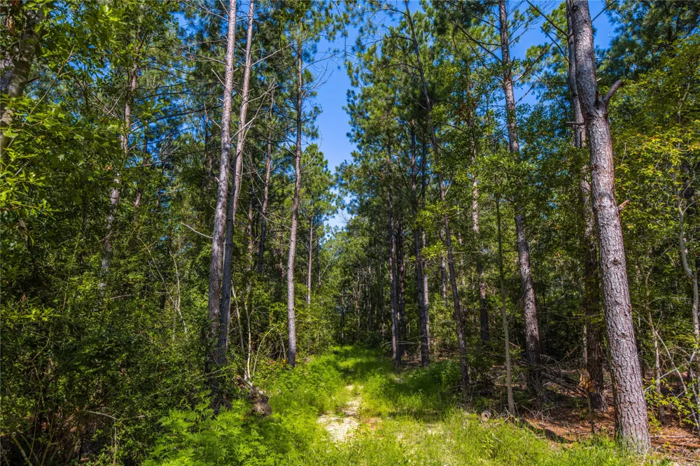 County Road 1713 Jacksonville, TX 75766