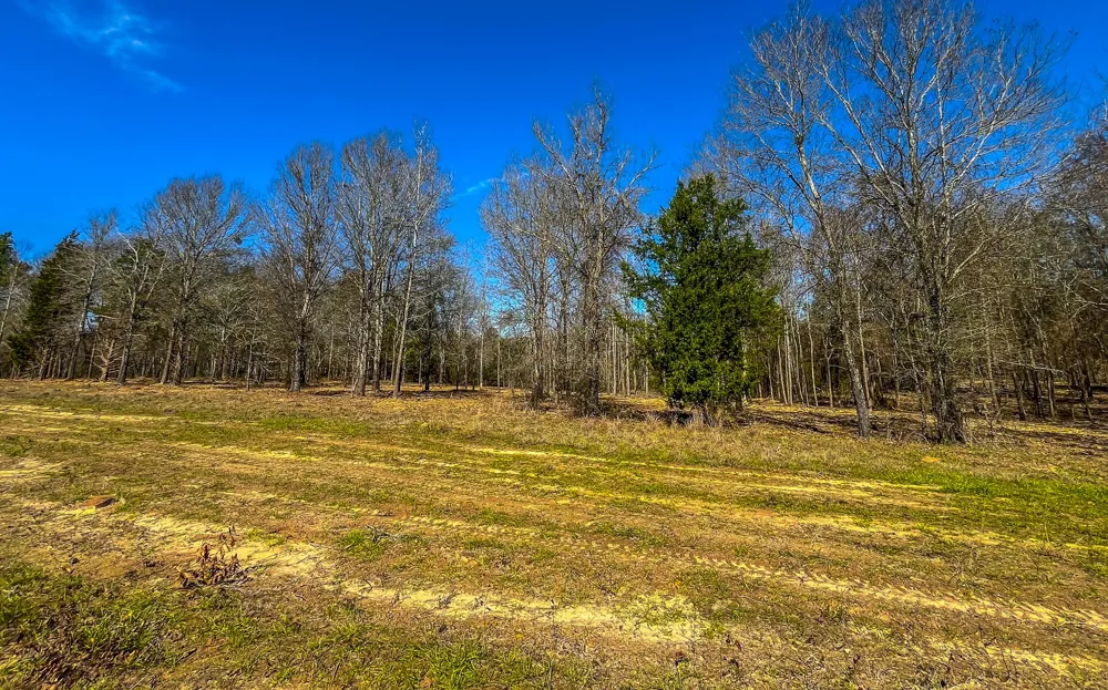 County Road 1713 Jacksonville, TX 75766