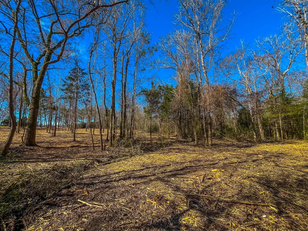 County Road 1713 Jacksonville, TX 75766