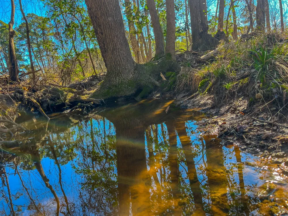 County Road 1713 Jacksonville, TX 75766