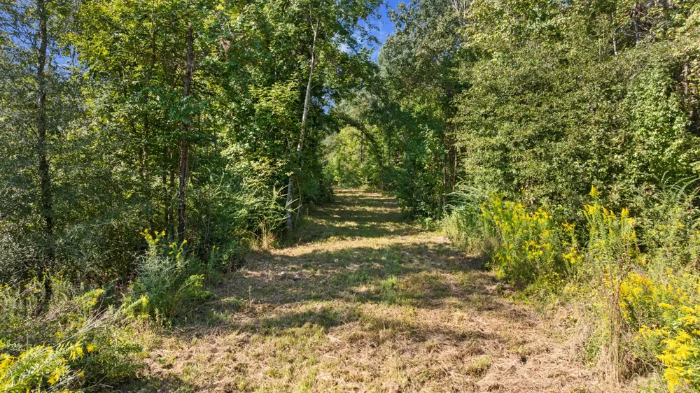 FM 2276 Kilgore, TX 75662