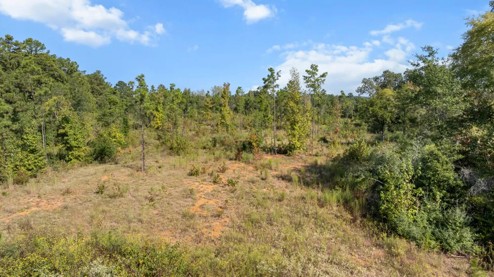 FM 2276 Kilgore, TX 75662
