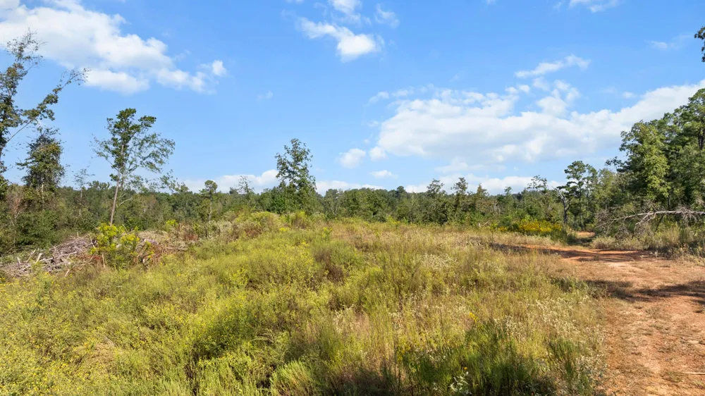 FM 2276 Kilgore, TX 75662