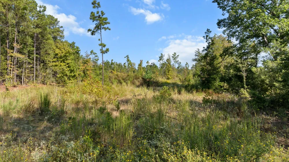 FM 2276 Kilgore, TX 75662