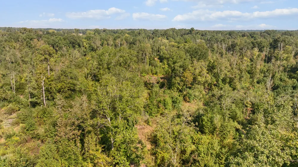 FM 2276 Kilgore, TX 75662