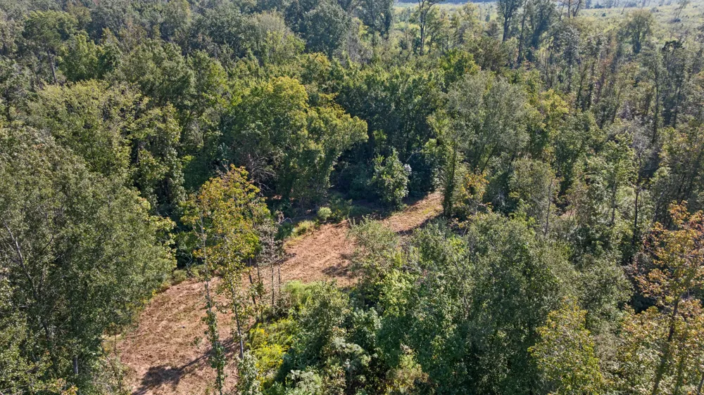 FM 2276 Kilgore, TX 75662