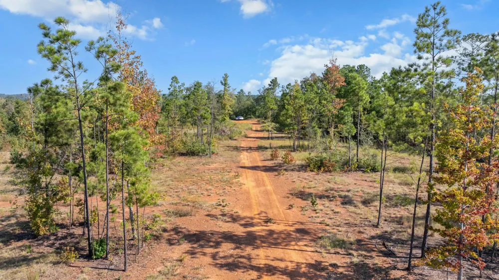 FM 2276 Kilgore, TX 75662