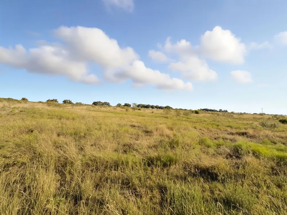PR 4219 Evant, TX 76525