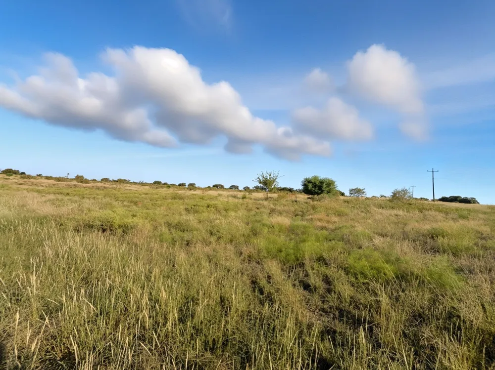 PR 4219 Evant, TX 76525