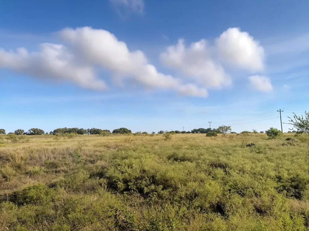 PR 4219 Evant, TX 76525