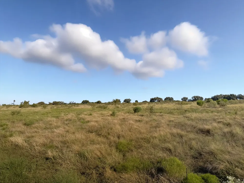 PR 4219 Evant, TX 76525