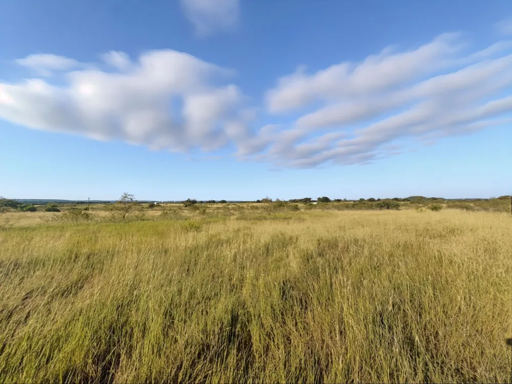 PR 4219 Evant, TX 76525