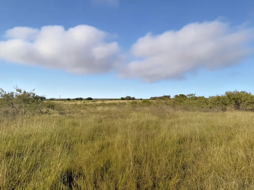 PR 4219 Evant, TX 76525