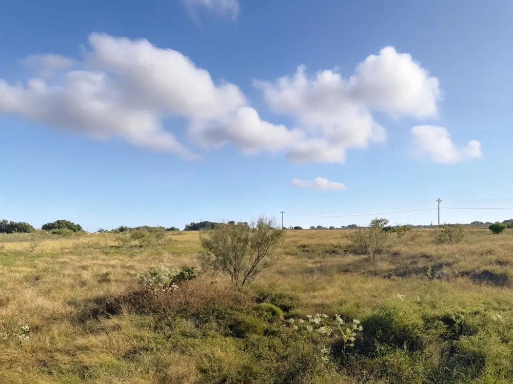 PR 4219 Evant, TX 76525