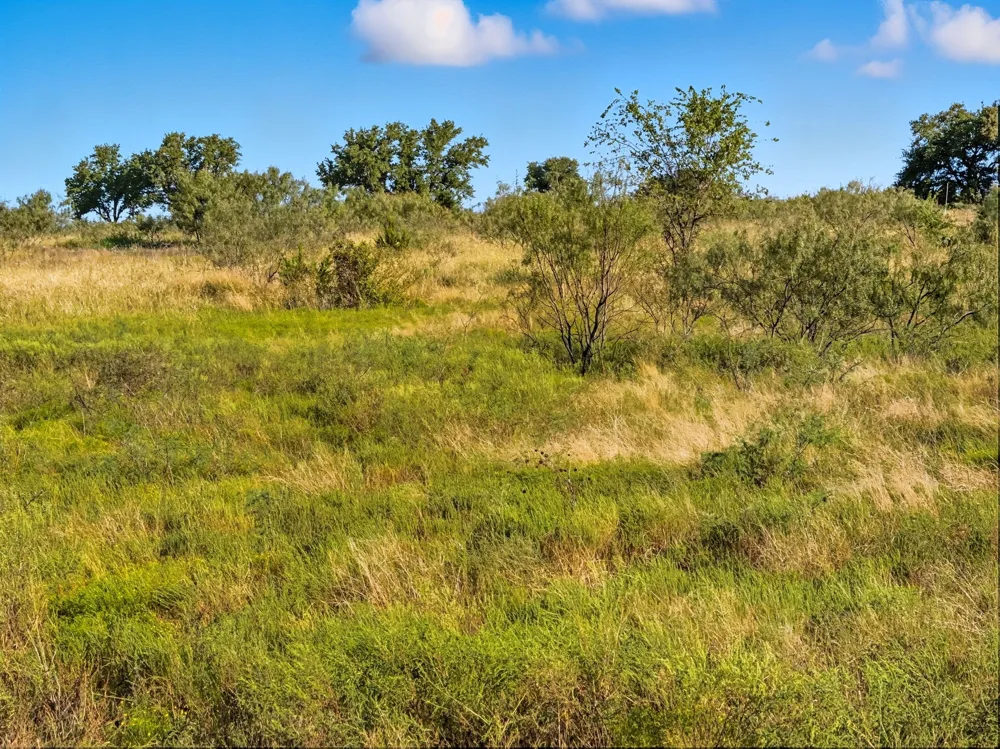 PR 4219 Evant, TX 76525