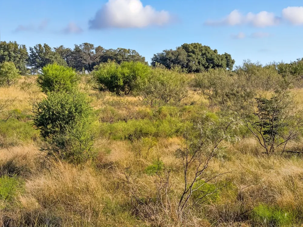 PR 4219 Evant, TX 76525
