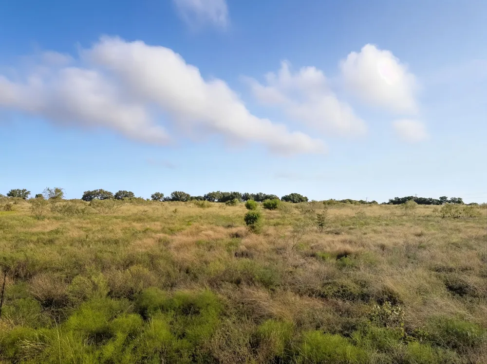 PR 4219 Evant, TX 76525