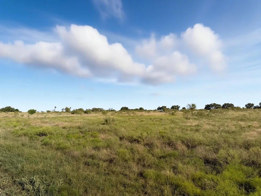 PR 4219 Evant, TX 76525