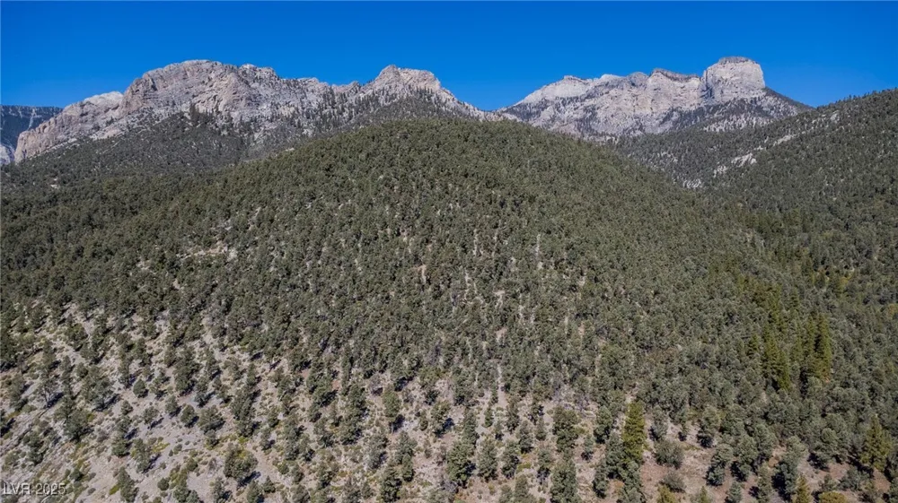 4063 Zugspitz Way Mount Charleston, NV 89124