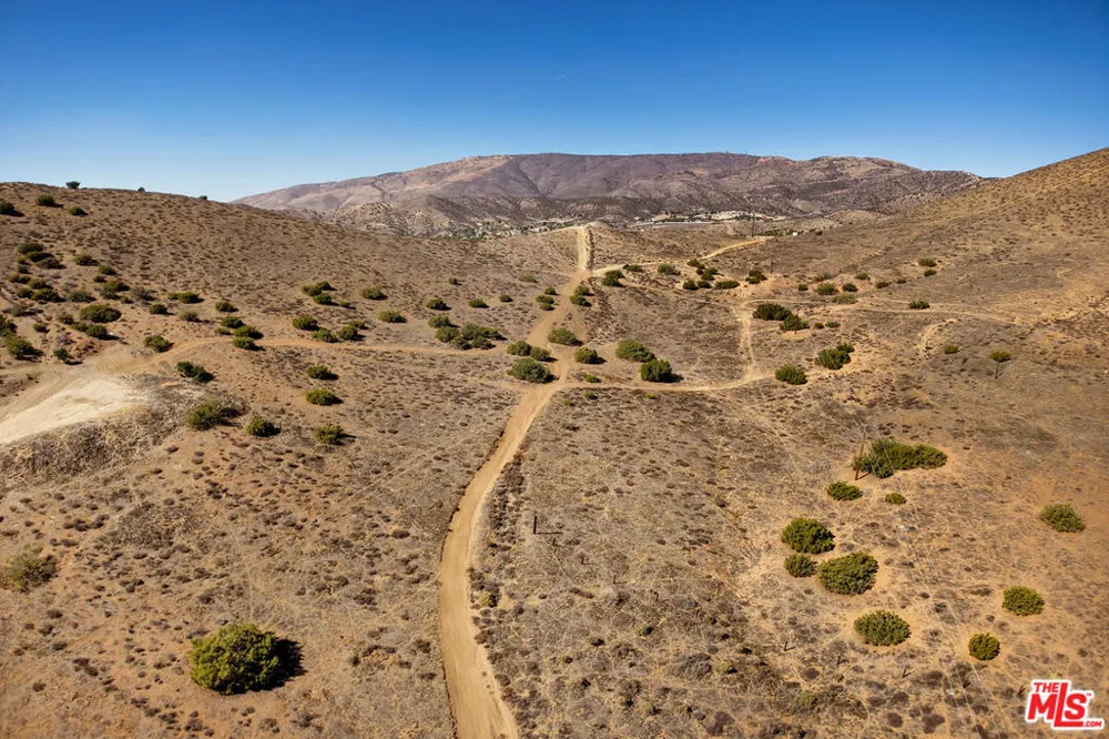 Pelona Canyon Road Acton, CA 93510