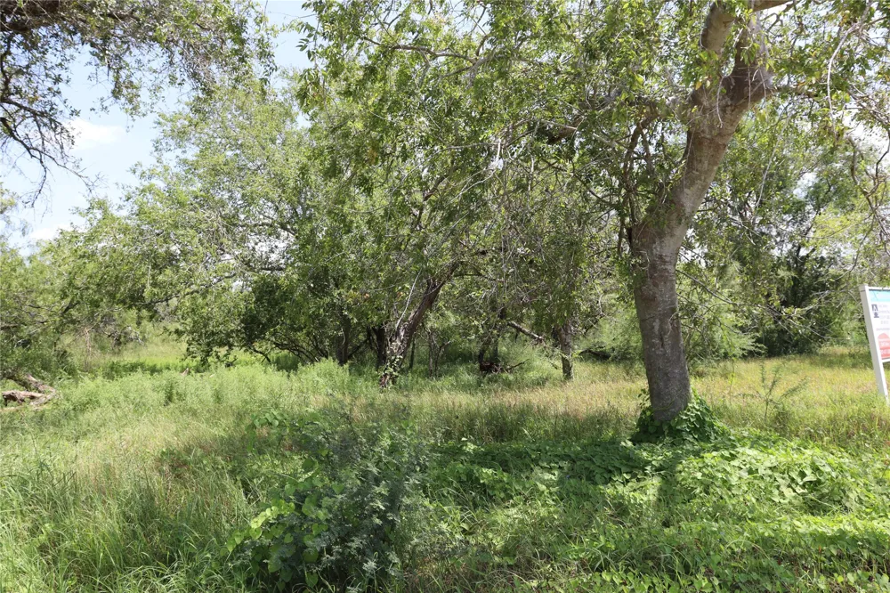 14135 County Road 1144 Sinton, TX 78387