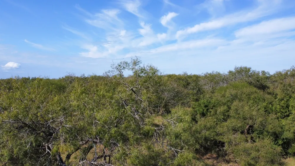 14135 County Road 1144 Sinton, TX 78387