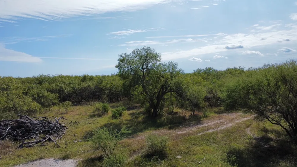 14135 County Road 1144 Sinton, TX 78387