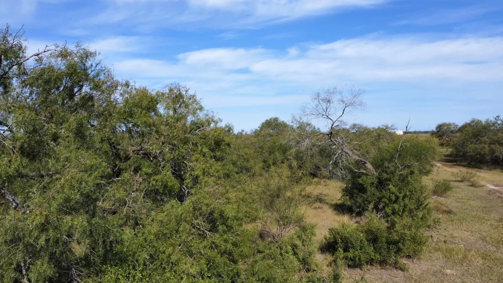 14135 County Road 1144 Sinton, TX 78387