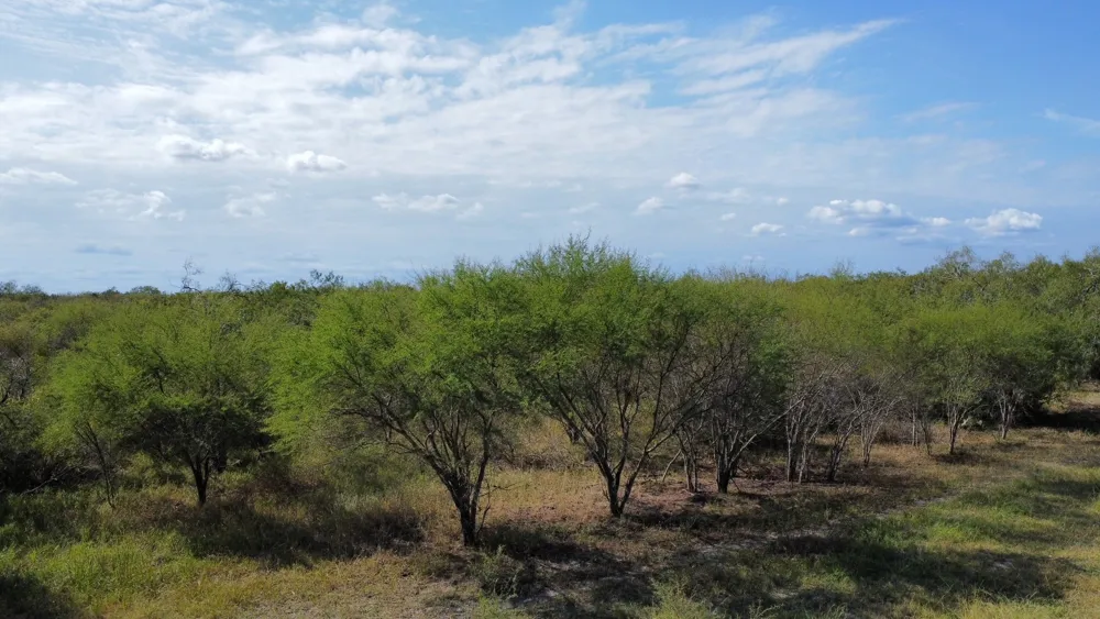 14135 County Road 1144 Sinton, TX 78387