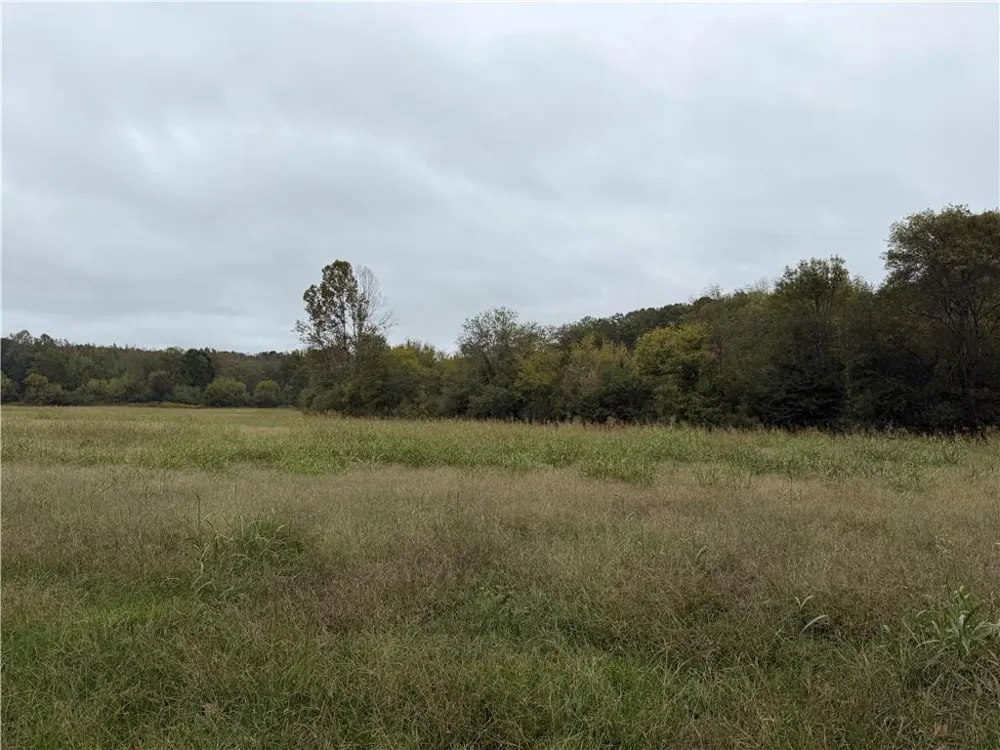 0 County Road 60 Heflin, AL 36264