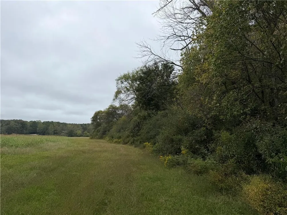 0 County Road 60 Heflin, AL 36264