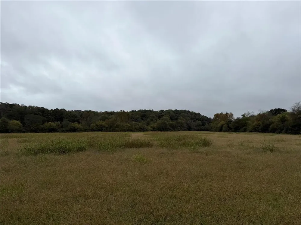 0 County Road 60 Heflin, AL 36264