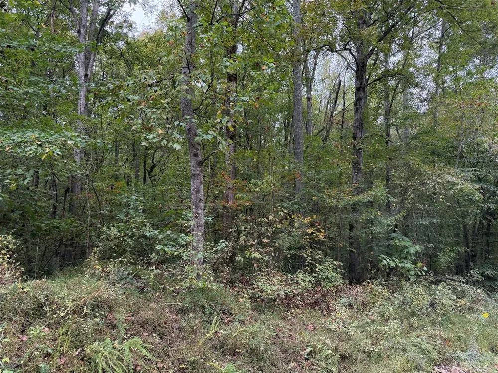 0 County Road 60 Heflin, AL 36264