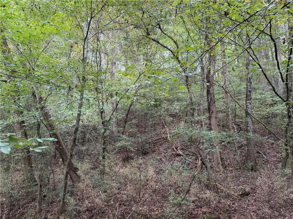 0 County Road 60 Heflin, AL 36264