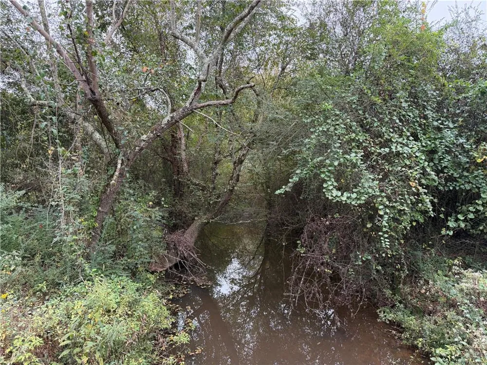0 County Road 60 Heflin, AL 36264