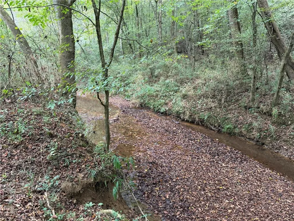 0 County Road 60 Heflin, AL 36264