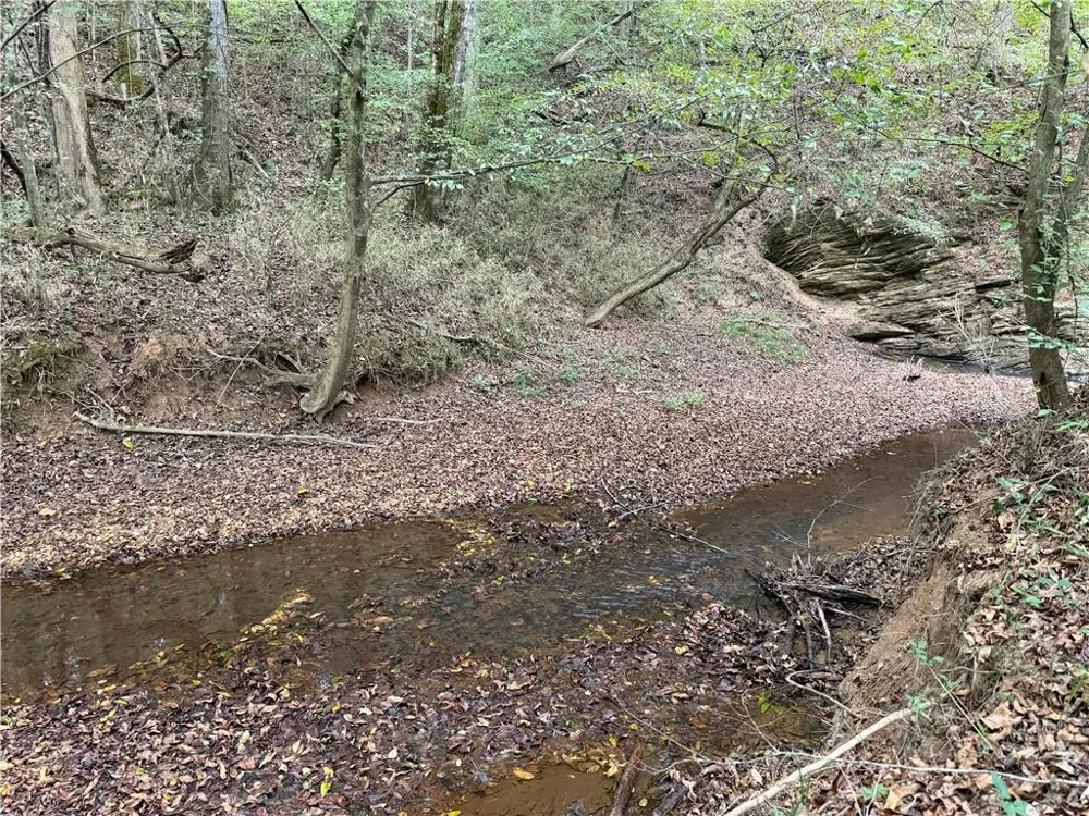 0 County Road 60 Heflin, AL 36264