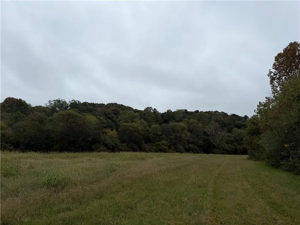 0 County Road 60 Heflin, AL 36264