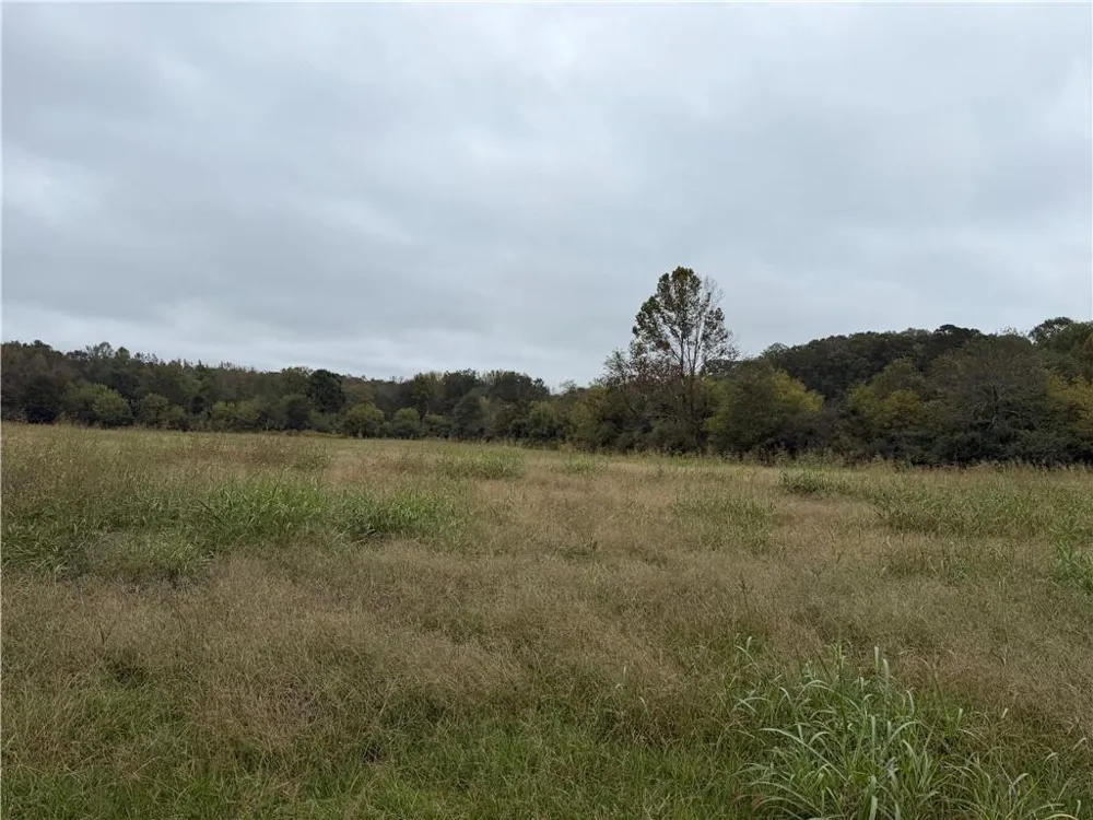 0 County Road 60 Heflin, AL 36264