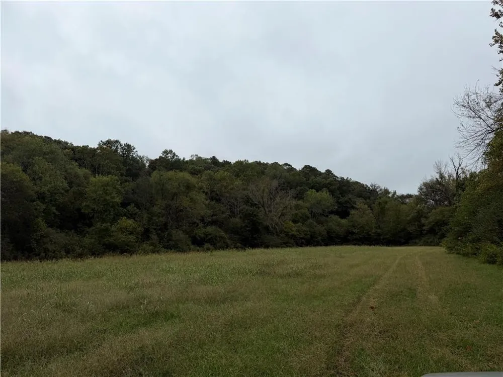 0 County Road 60 Heflin, AL 36264