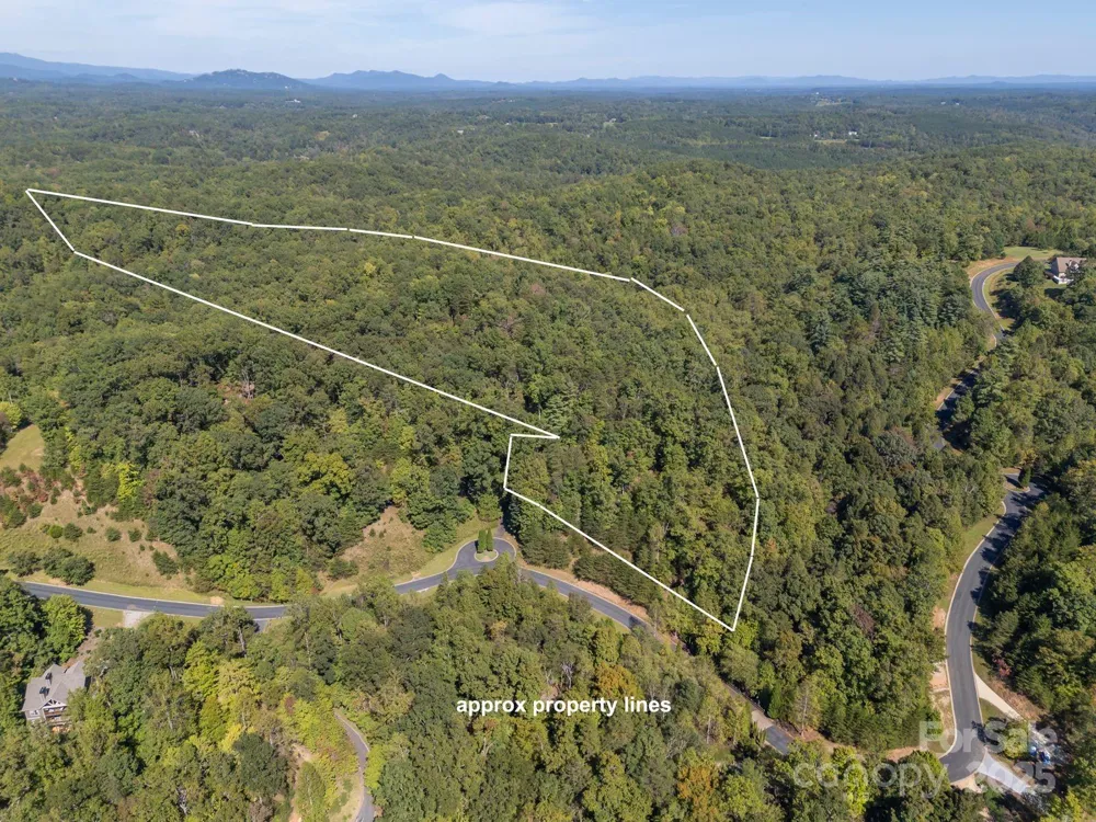 0 Mountain Parkway #29 Mill Spring, NC 28756