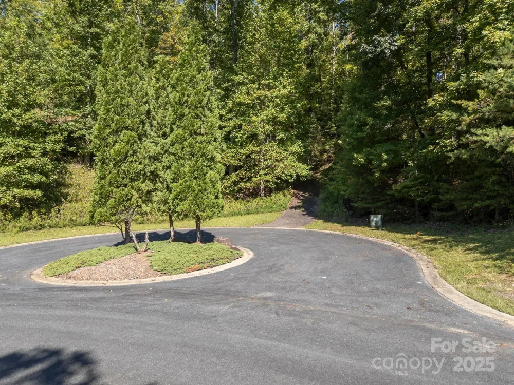 0 Mountain Parkway #29 Mill Spring, NC 28756