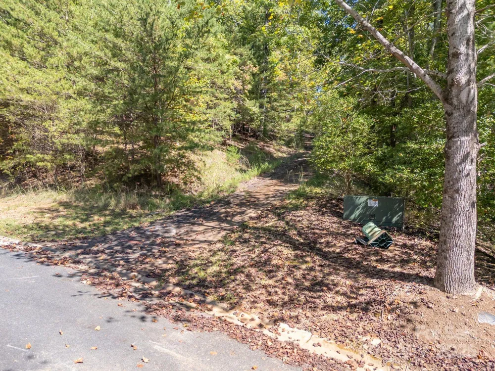 0 Mountain Parkway #29 Mill Spring, NC 28756