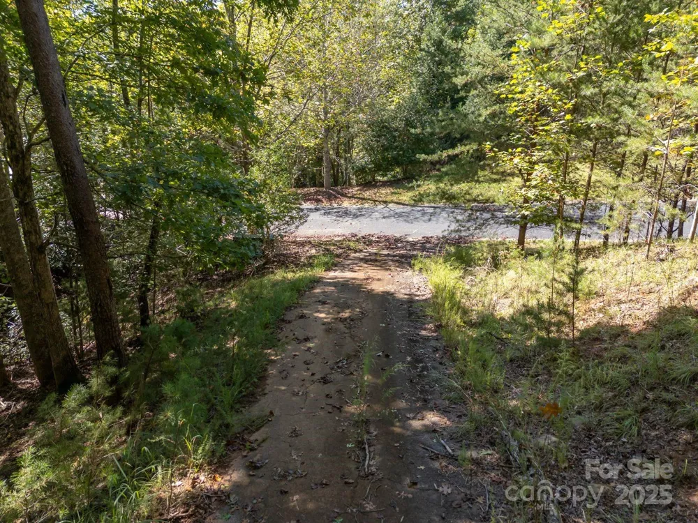 0 Mountain Parkway #29 Mill Spring, NC 28756