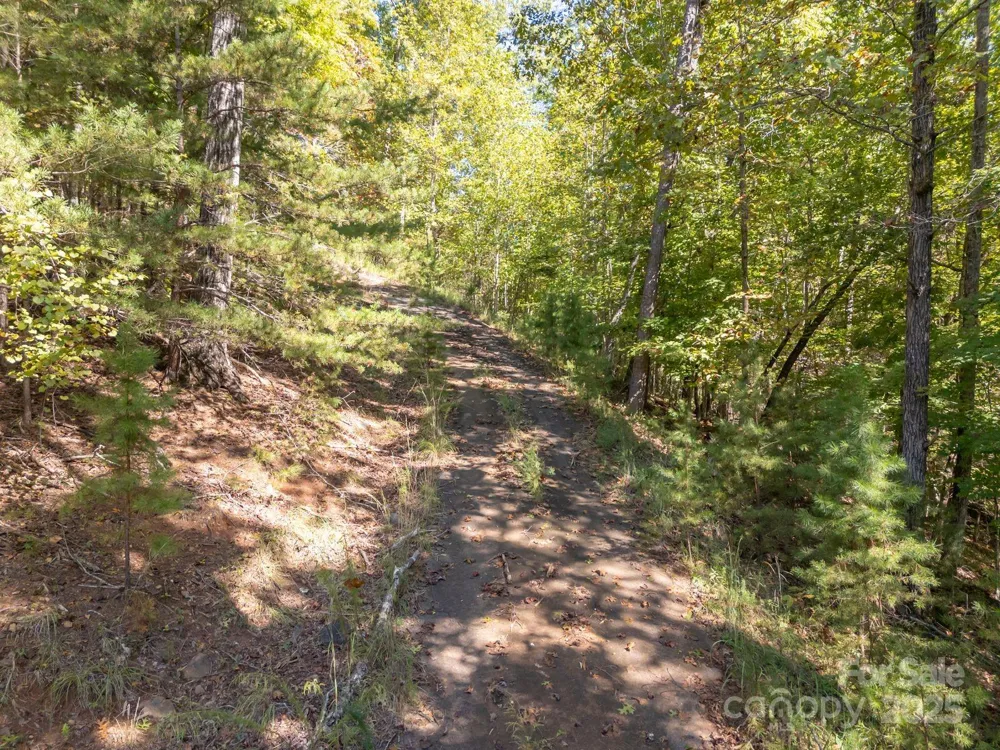 0 Mountain Parkway #29 Mill Spring, NC 28756