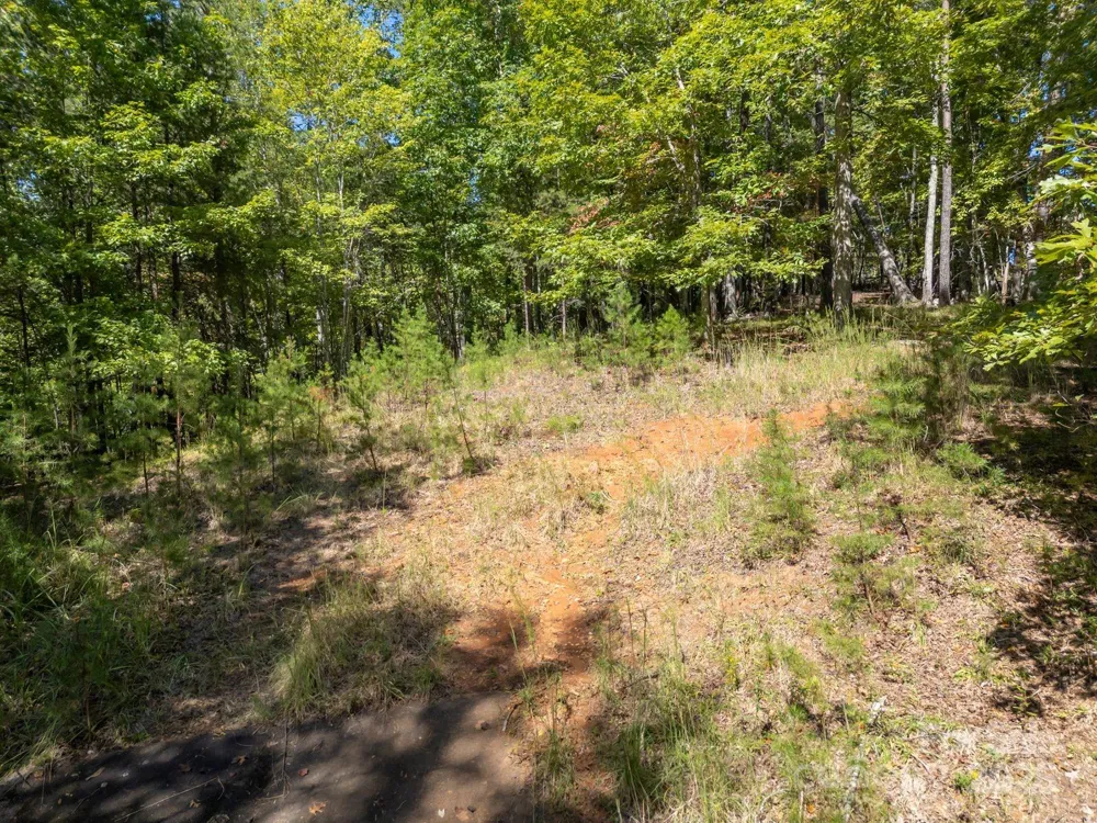 0 Mountain Parkway #29 Mill Spring, NC 28756