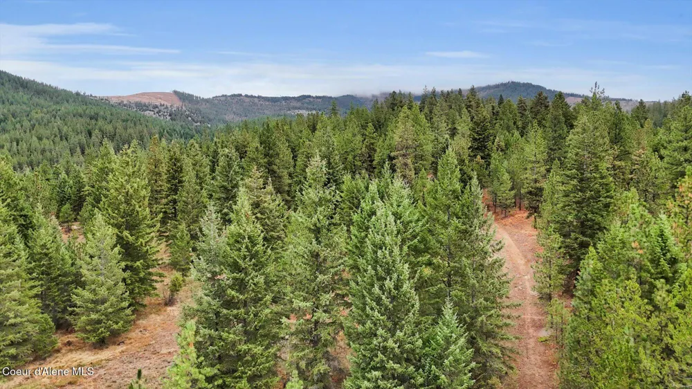 1571 Stone Road Blanchard, ID 83804