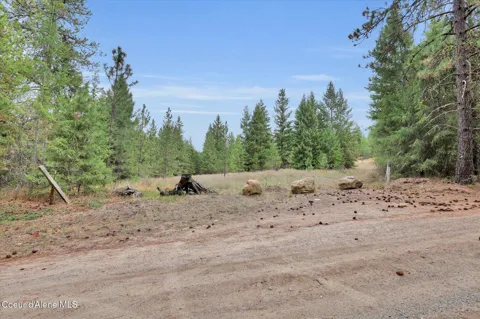 1571 Stone Road
